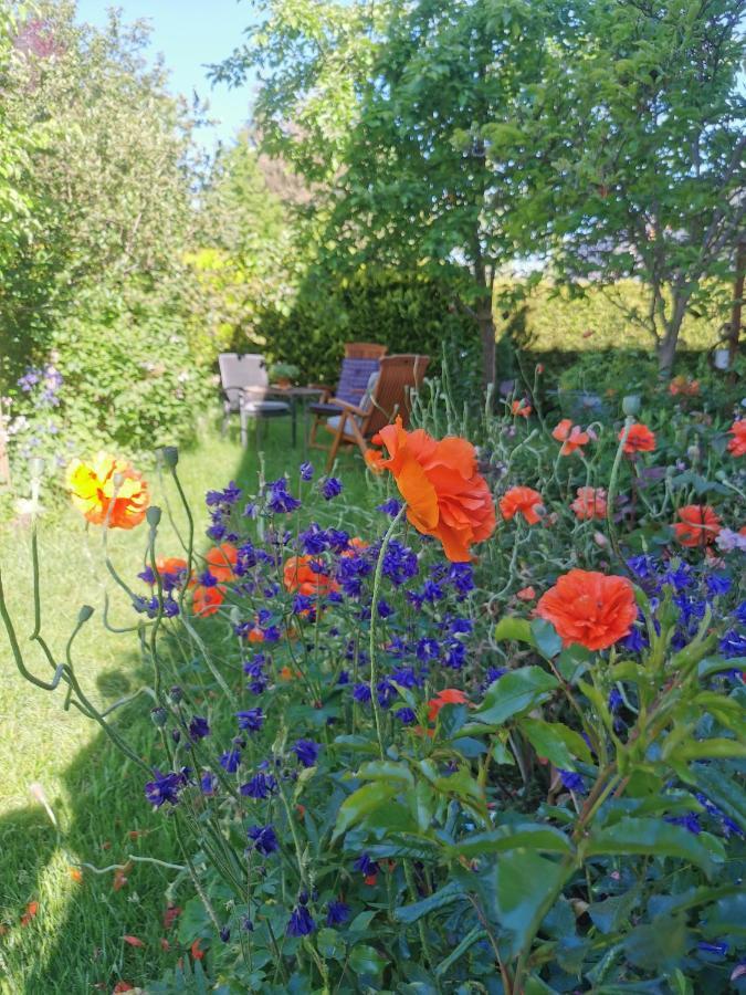 Gartenwohnung Paulsdorf Dippoldiswalde Exterior foto