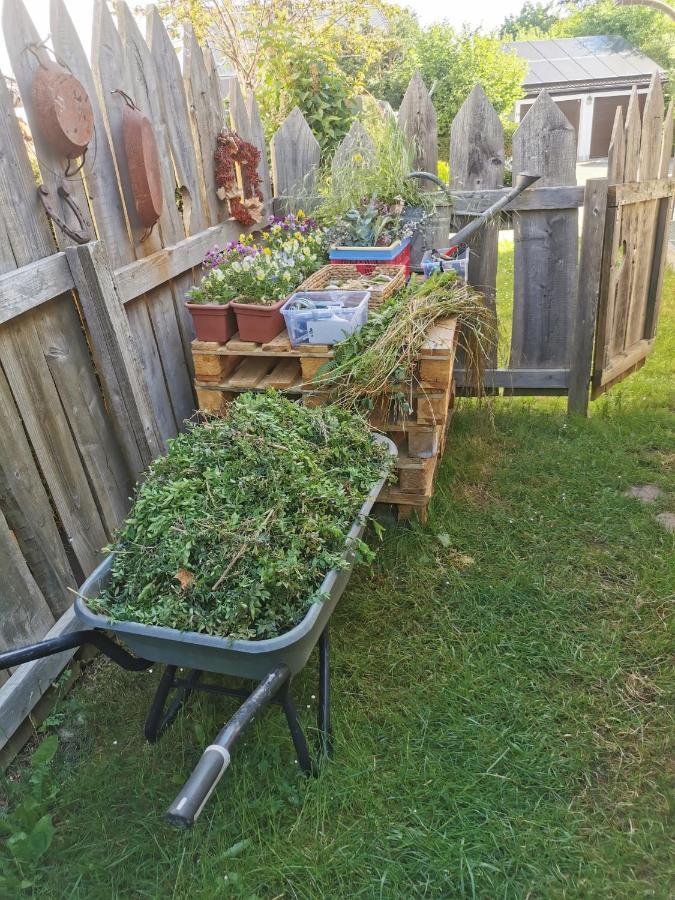Gartenwohnung Paulsdorf Dippoldiswalde Exterior foto